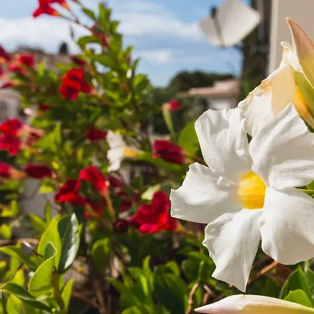 Matilde Holiday home *