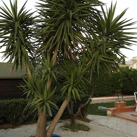 Matilde קאריני