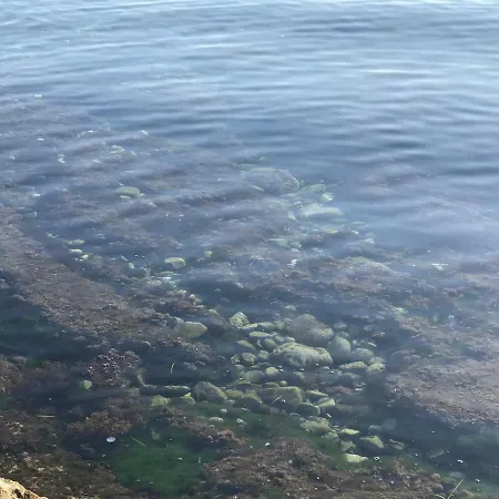 בית נופש Matilde *