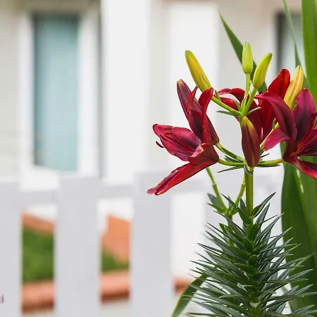 Σπίτι διακοπών Matilde