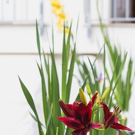 Matilde Hébergement de vacances